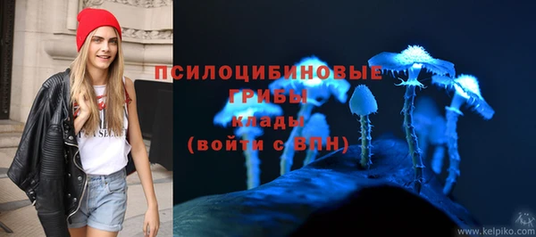 ГАЛЛЮЦИНОГЕННЫЕ ГРИБЫ Алзамай